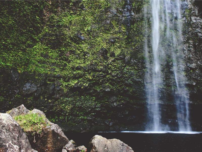 community screenshot 4